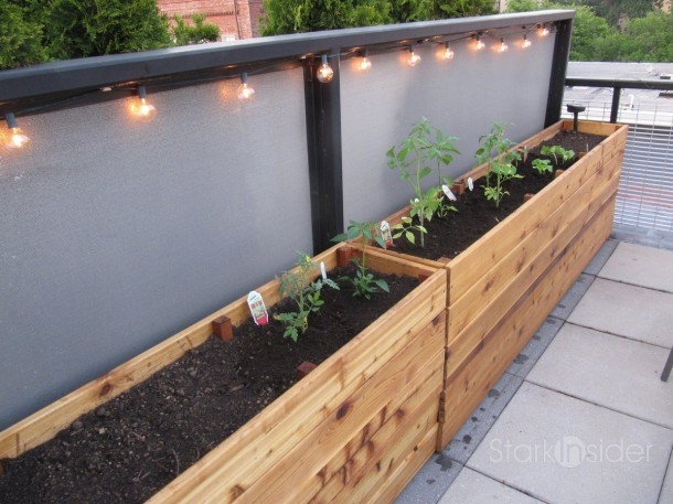 Diy Project Vegetable Planter Box Plans Photos Stark