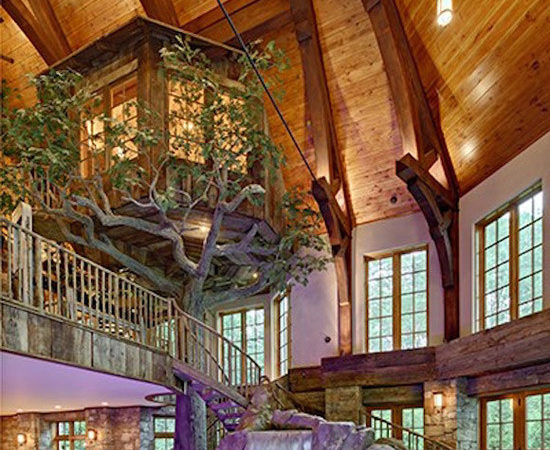 Lakefront Dream Home Lists Indoor Tree House