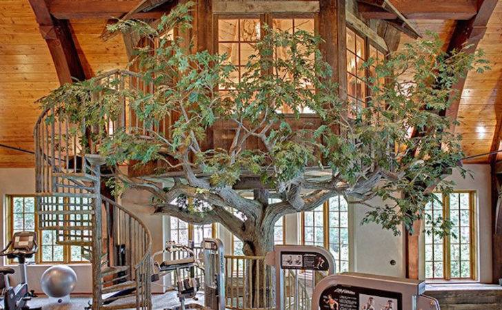 Lakefront Dream Home Lists Indoor Tree House